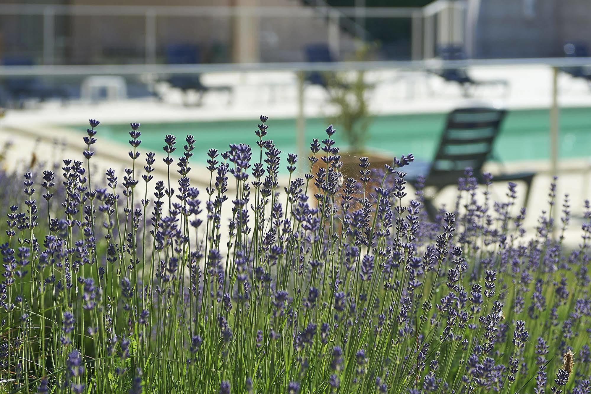 Cit'Hotel Les Alizes Λιμόζ Εξωτερικό φωτογραφία